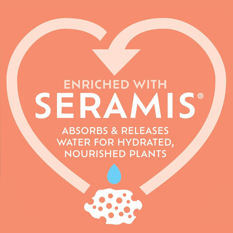 Westland Horticulture Cacti & Succulent Potting Mix Westland Cacti & Succulent Potting Mix 4L