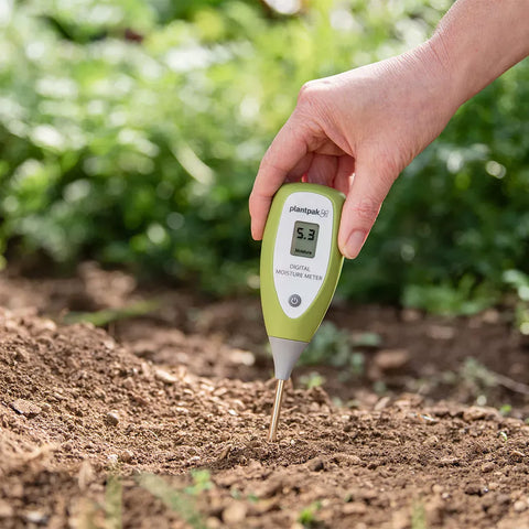 Westland Digital Moisture Meter — measuring moisture in outdoor pots and containers