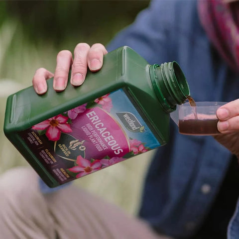 Westland Horticulture Ericaceous Feed Westland Ericaceous High Performance Liquid Plant Food 1L