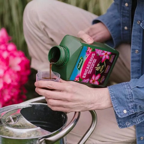 Westland Horticulture Ericaceous Feed Westland Ericaceous High Performance Liquid Plant Food 1L