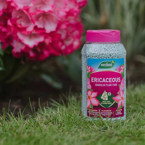 Westland Horticulture Ericaceous Feed Westland Ericaceous Plant Food Granules 900g