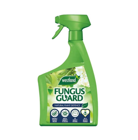 Westland Horticulture Fungus Control Westland Fungus Guard 800ml