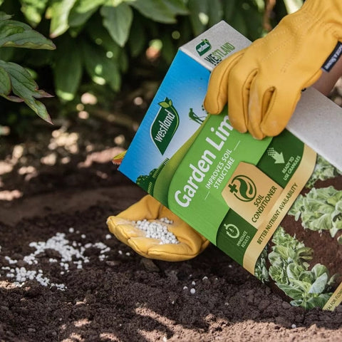 Westland Garden Lime 4kg