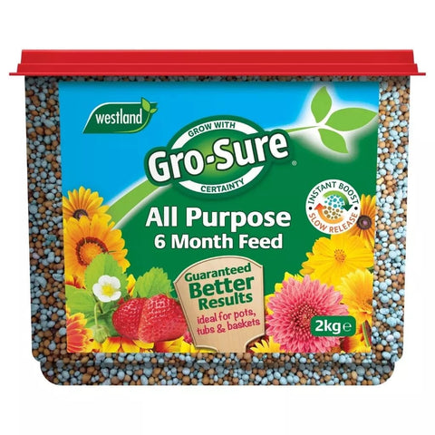 Westland Horticulture Garden Plant Feeds Westland Gro-Sure All-Purpose Slow Release Plant Food 2kg
