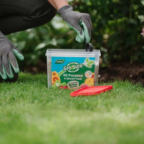Westland Horticulture Garden Plant Feeds Westland Gro-Sure All-Purpose Slow Release Plant Food 2kg