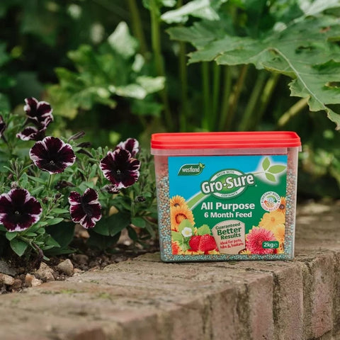 Westland Horticulture Garden Plant Feeds Westland Gro-Sure All-Purpose Slow Release Plant Food 2kg
