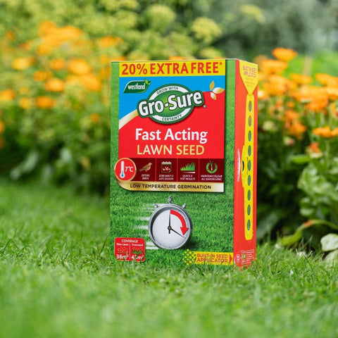 Westland Horticulture Lawn Seed Westland Gro-Sure Fast Acting Lawn Seed 30m2 + 20% Extra Free