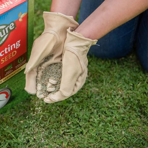 Westland Horticulture Lawn Seed Westland Gro-Sure Fast Acting Lawn Seed 30m2 + 20% Extra Free