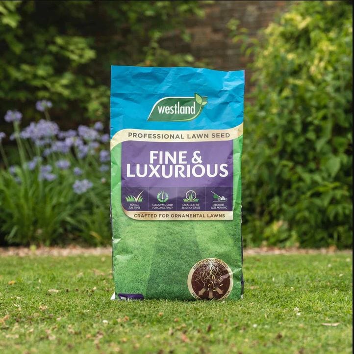 Westland Horticulture Lawn Seed Westland Gro-Sure Professional Fine and Luxurious Lawn Seed