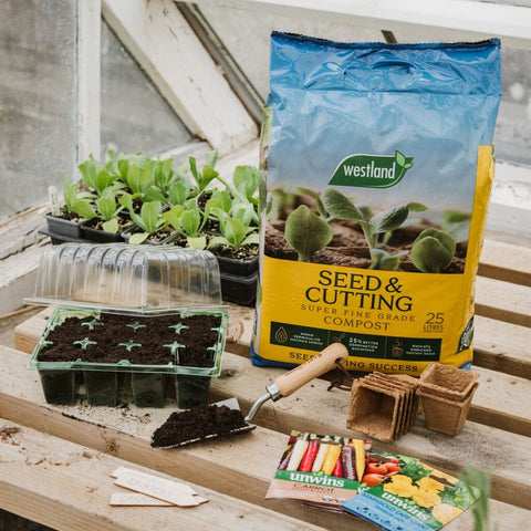 Westland Compost Westland Gro-Sure Seed & Cuttings 25L Bale