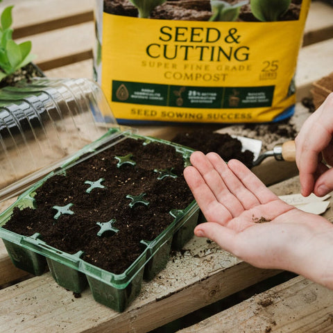 Westland Compost Westland Gro-Sure Seed & Cuttings 25L Bale