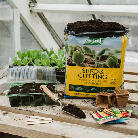Westland Compost Westland Gro-Sure Seed & Cuttings 25L Bale