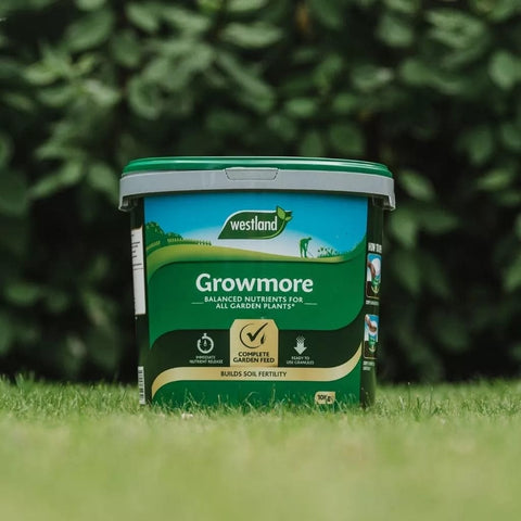 Westland Horticulture Growmore Westland Growmore 10kg