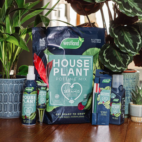 Westland Horticulture Houseplant Feeds Westland Houseplant Droplet Feeder