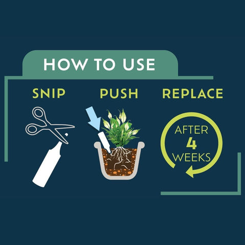 Westland Horticulture Houseplant Feeds Westland Houseplant Droplet Feeder