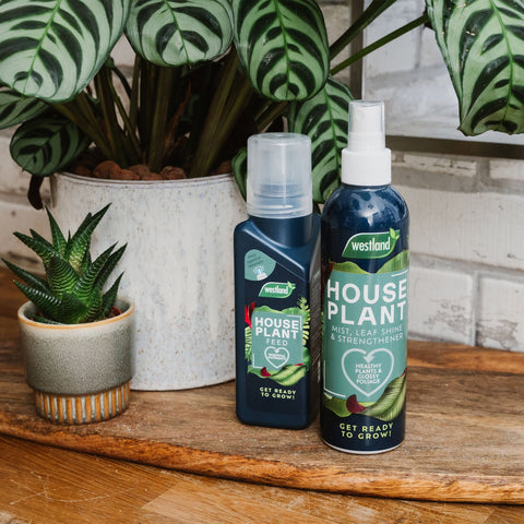 Westland Horticulture Houseplant Feeds Westland Houseplant Mist, Leaf Shine & Strengthener