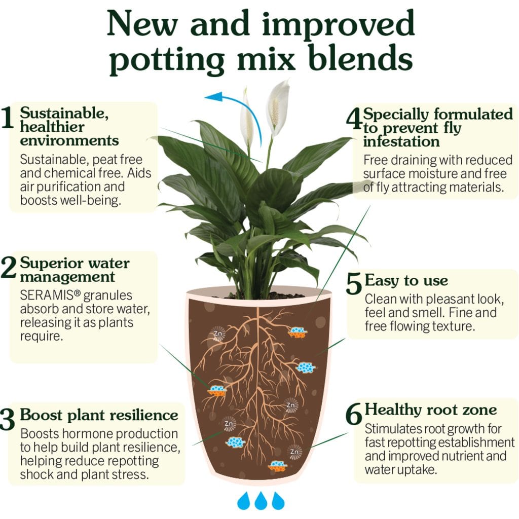 westland houseplant potting mix Westland Houseplant Potting Mix – Trowell Garden Centre
