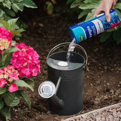 Westland Horticulture Hydrangea Colourant Westland Hydrangea Colourant 500g