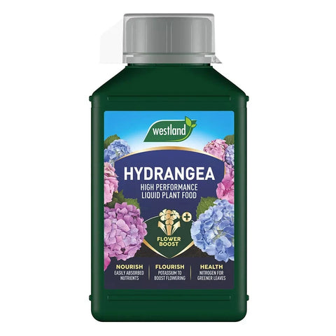 Westland Horticulture Hydrangea Feed Westland Hydrangea High Performance Liquid Plant Food 1L