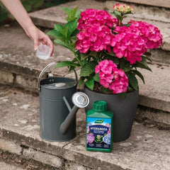 Westland Horticulture Hydrangea Feed Westland Hydrangea High Performance Liquid Plant Food 1L