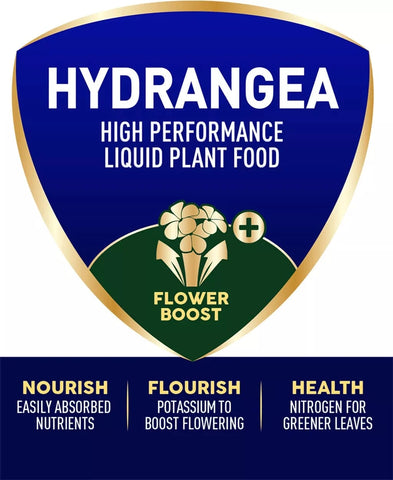 Westland Horticulture Hydrangea Feed Westland Hydrangea High Performance Liquid Plant Food 1L