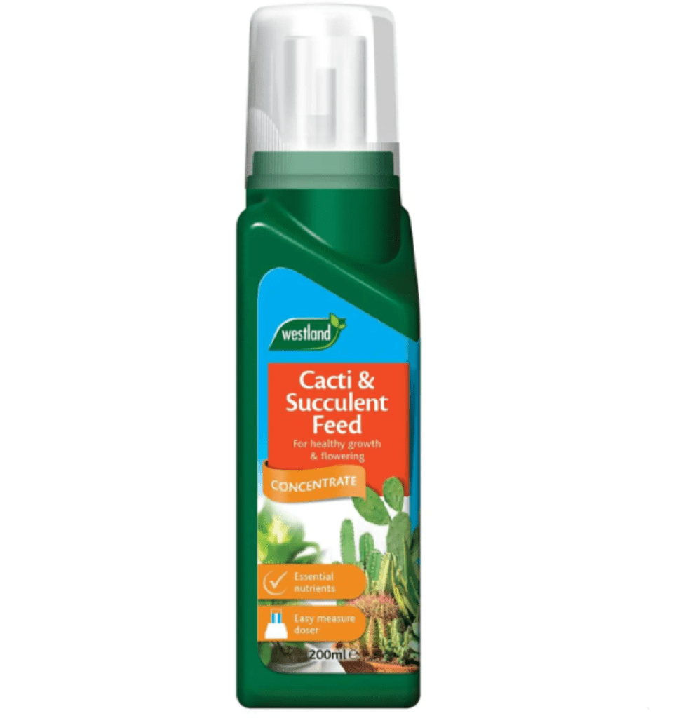 Westland Horticulture Westland Indoor Cacti and Succulent Feed 200ml