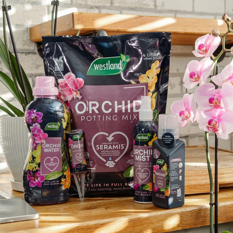 Westland Horticulture Orchid Water Westland Indoor Orchid Water  720ml
