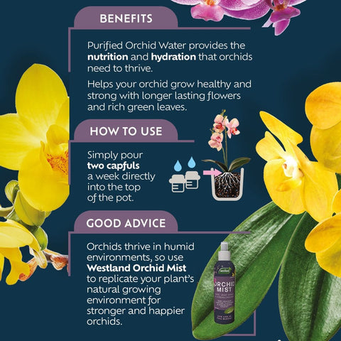 Westland Horticulture Orchid Water Westland Indoor Orchid Water  720ml