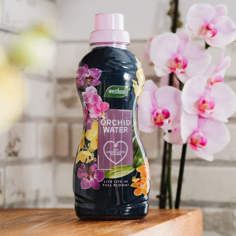 Westland Horticulture Orchid Water Westland Indoor Orchid Water  720ml