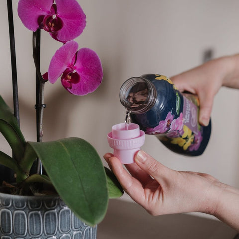 Westland Horticulture Orchid Water Westland Indoor Orchid Water  720ml