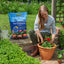 Westland Horticulture compost Westland John Innes No.2 Potting-on Compost 28 Litres