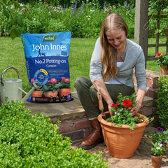Westland Horticulture compost Westland John Innes No.2 Potting-on Compost 28 Litres