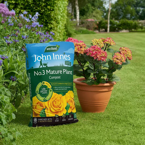 Westland Horticulture Compost Westland John Innes No 3 Mature Plant Compost 10L