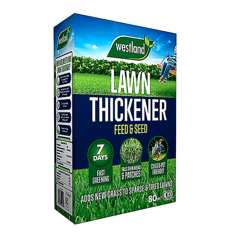 Westland Horticulture Lawn Thickener Westland Lawn Revive 80m2