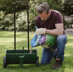 Westland Horticulture Lawn Sand Westland Lawn Sand 200m2