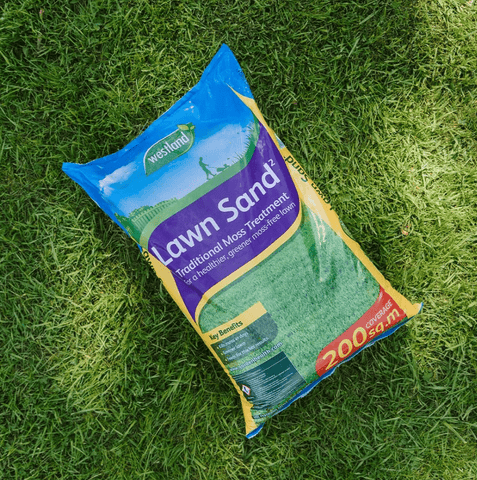 Westland Horticulture Lawn Sand Westland Lawn Sand 200m2