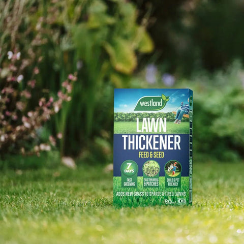 Westland Horticulture Lawn Thickener Westland Lawn Thickener 80m² Box