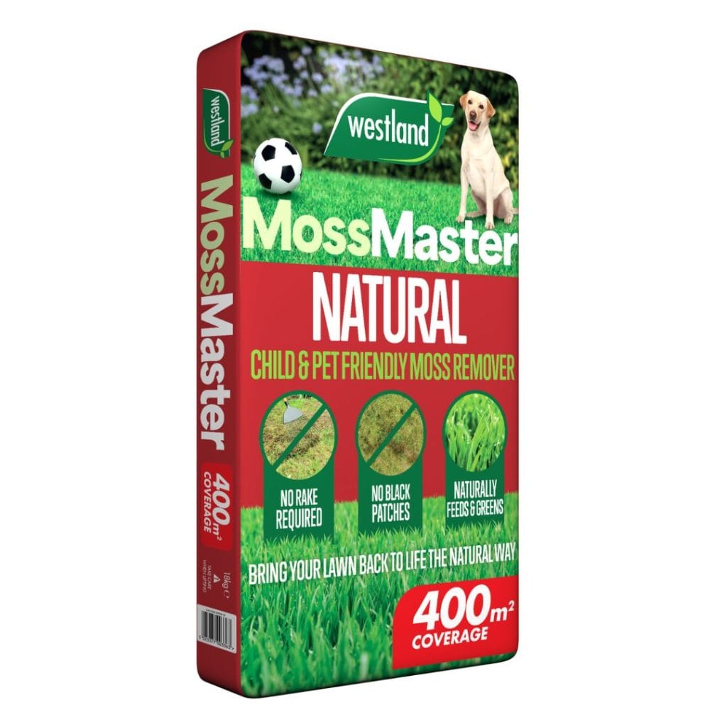 Westland Horticulture Lawn Moss Remover Westland Moss Master 400m2 Box