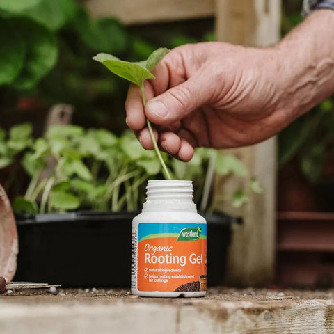 Westland Horticulture Rooting Powder & Gel Westland Organic Rooting Gel 150ml