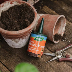 Westland Horticulture Rooting Powder & Gel Westland Organic Rooting Powder 100g