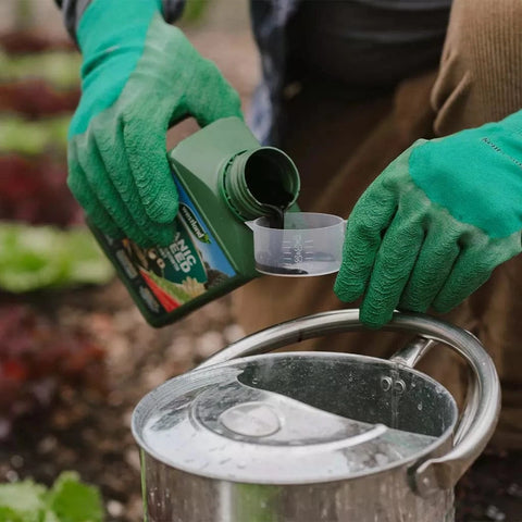 Westland Horticulture Plant Feed Organic Westland Organic Seaweed 1L