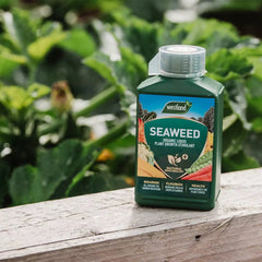 Westland Horticulture Plant Feed Organic Westland Organic Seaweed 1L