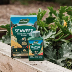 Westland Horticulture Plant Feed Organic Westland Organic Seaweed 1L