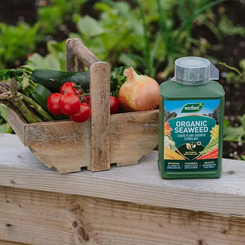 Westland Horticulture Plant Feed Organic Westland Organic Seaweed 1L