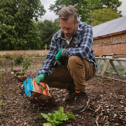 Westland Horticulture Plant Feed Organic Westland Organic Vegetable High Performance Plant Food 1.5kg