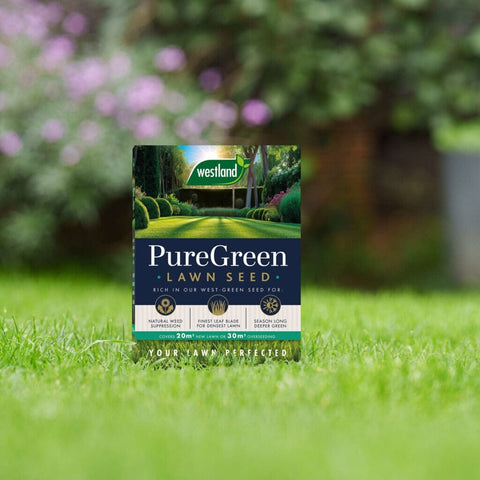 Westland Horticulture Lawn Seed Westland PureGreen Lawn Seed 20m2