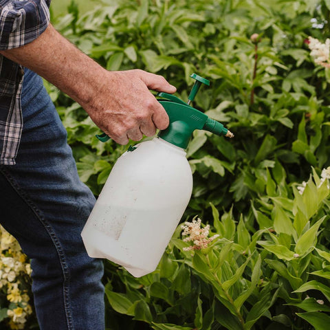 Resolva Bug Control Westland Resolva Bug Killer Concentrate 250ml