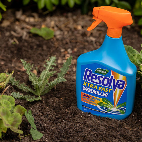 Resolva Weed Control Westland Resolva Fast Weedkiller Ready to Use 1 Litre