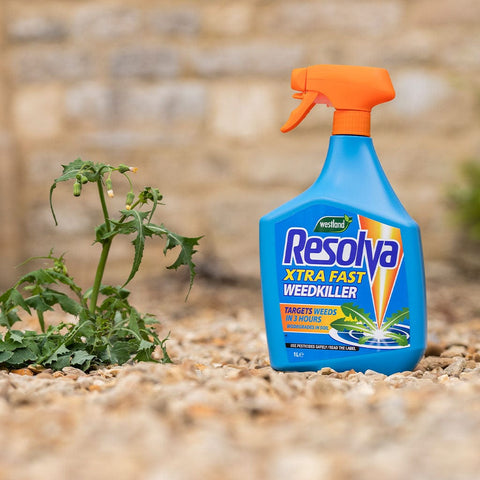 Resolva Weed Control Westland Resolva Fast Weedkiller Ready to Use 1 Litre