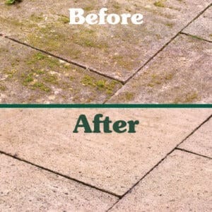 Resolva Garden Cleaning Westland Resolva Xtra Clean Ready to Use Patio Power Clean Power Pump 5L